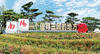 【行業(yè)資訊】南陽一個值得三顧的地方！“丹江水”“仙草艾”成為 “南陽禮物”新爆款！