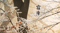 【二十四節(jié)氣灸】霜降節(jié)氣：艾灸四穴，護您冬天安然無恙！