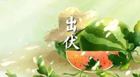 【艾灸三伏天】出伏后記得堅持艾灸，伏后固本，做好至關重要的最后一步！